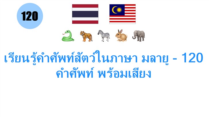 เรียนรู้คำศัพท์สัตว์ในภาษา มลายู - 120 คำศัพท์ พร้อมเสียง